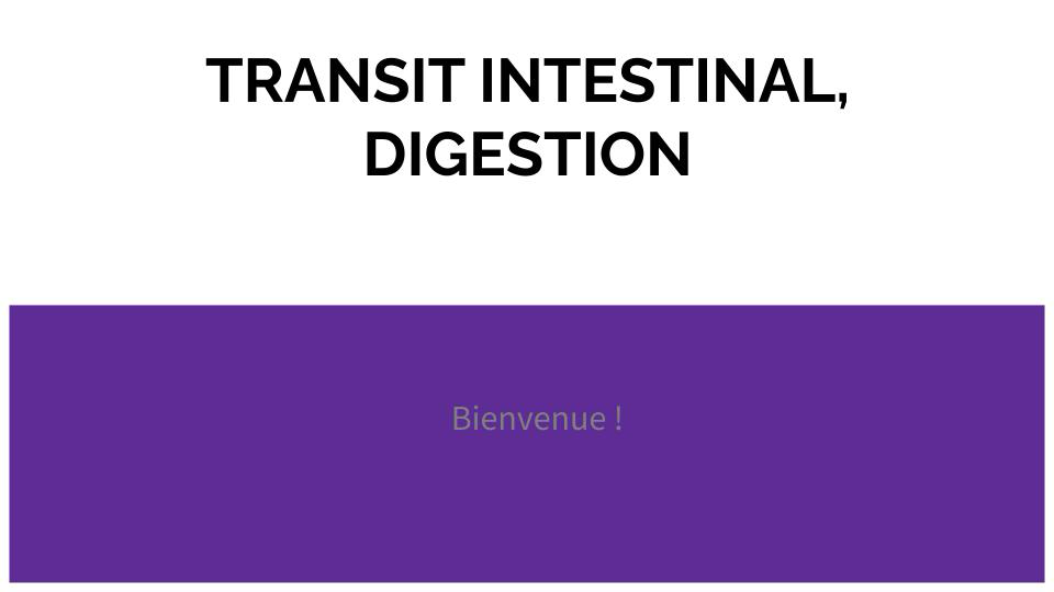 Atelier sur le transit intestinal et la digestion